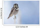 Northern Hawk Owl Perched On Snag On Copper River Delta Wall Mural