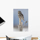 Winter Wall Mural