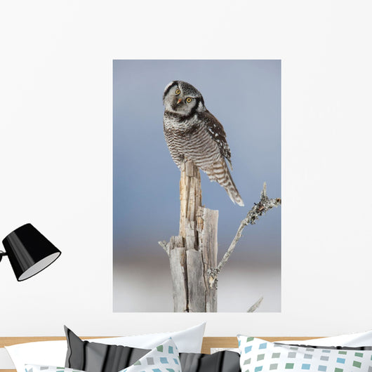 Winter Wall Mural