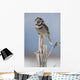 Winter Wall Mural