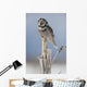Winter Wall Mural