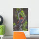 Male Pine Grosbeak Perched On Willow Branch Wall Mural