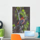Male Pine Grosbeak Perched On Willow Branch Wall Mural