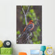 Male Pine Grosbeak Perched On Willow Branch Wall Mural
