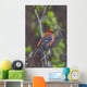 Male Pine Grosbeak Perched On Willow Branch Wall Mural