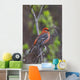 Male Pine Grosbeak Perched On Willow Branch Wall Mural