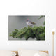 Ruby-Crowned Kinglet Perched Wall Mural
