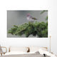 Ruby-Crowned Kinglet Perched Wall Mural