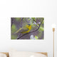 A Male Wilson's Warbler Perched In A Willow Wall Mural