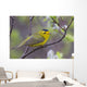 A Male Wilson's Warbler Perched In A Willow Wall Mural