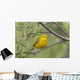 A Male Yellow Warbler Perched In A Willow Wall Mural