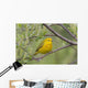 A Male Yellow Warbler Perched In A Willow Wall Mural
