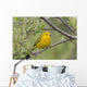 A Male Yellow Warbler Perched In A Willow Wall Mural
