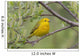 A Male Yellow Warbler Perched In A Willow Wall Mural