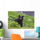 Black Bear Standing In Alpine Vegetation Wall Mural