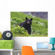 Black Bear Standing In Alpine Vegetation Wall Mural