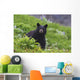 Black Bear Standing In Alpine Vegetation Wall Mural
