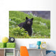 Black Bear Standing In Alpine Vegetation Wall Mural
