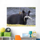 Black Bear With Pink Salmon In Its Mouth Alongside A Stream Wall Mural