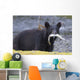 Black Bear With Pink Salmon In Its Mouth Alongside A Stream Wall Mural
