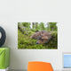 Black-Tailed Deer Fawn Lying In Moss Covered Rainforest Wall Mural