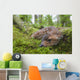 Black-Tailed Deer Fawn Lying In Moss Covered Rainforest Wall Mural