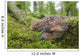 Black-Tailed Deer Fawn Lying In Moss Covered Rainforest Wall Mural