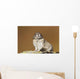 Collared Pika Sitting Wall Mural