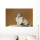 Collared Pika Sitting Wall Mural