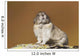 Collared Pika Sitting Wall Mural