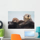 Sea Otter With Snow Covering Fur Holding Newborn Pup Wall Mural