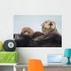 Sea Otter With Snow Covering Fur Holding Newborn Pup Wall Mural