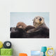 Sea Otter With Snow Covering Fur Holding Newborn Pup Wall Mural