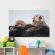 Sea Otter With Snow Covering Fur Holding Newborn Pup Wall Mural
