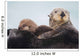 Sea Otter With Snow Covering Fur Holding Newborn Pup Wall Mural