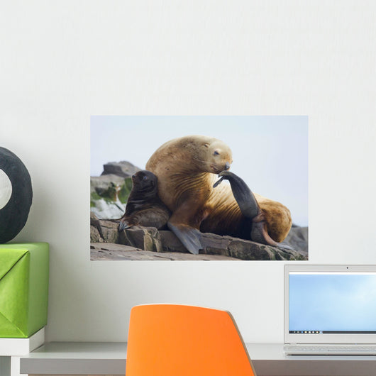 Steller Sea Lion Female And Young Pup Hauled Out Wall Mural