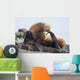 Steller Sea Lion Female And Young Pup Hauled Out Wall Mural