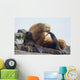 Steller Sea Lion Female And Young Pup Hauled Out Wall Mural