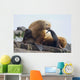 Steller Sea Lion Female And Young Pup Hauled Out Wall Mural