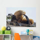 Steller Sea Lion Female And Young Pup Hauled Out Wall Mural