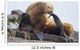 Steller Sea Lion Female And Young Pup Hauled Out Wall Mural