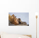 Steller Sea Lion Female And Young Pup Nursing Rock Wall Mural