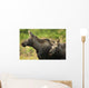 Profile View Of A Moose Cow And Her Calf Wall Mural