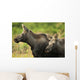Profile View Of A Moose Cow And Her Calf Wall Mural