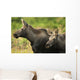 Profile View Of A Moose Cow And Her Calf Wall Mural