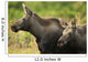 Profile View Of A Moose Cow And Her Calf Wall Mural