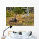 A Cow Moose Rests Wall Mural