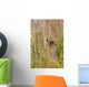 An Arctic Ground Squirrel Feasts On Grass Seeds Wall Mural