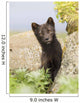 Adult Arctic Fox Guarding The Den Wall Mural
