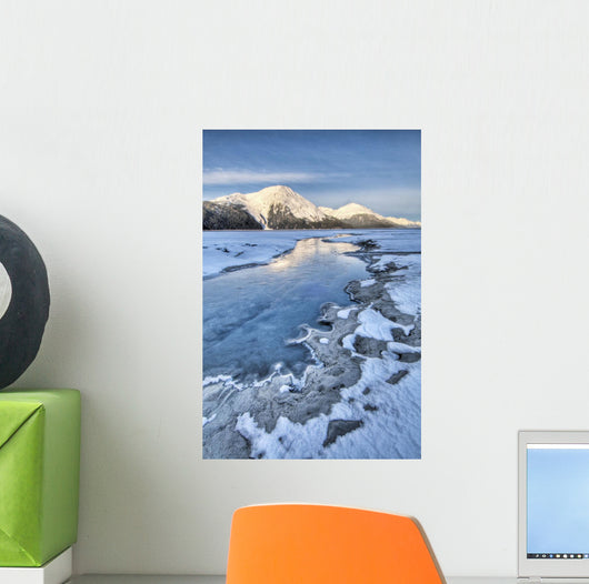 Morning Light Wall Mural